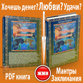 Мантры заклинания книга