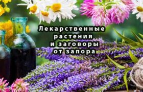 Лекарственные растения и заговоры от запора