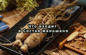 Что входит в Состав женьшеня