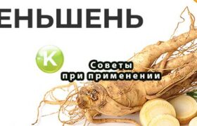 Советы при применении женьшеня