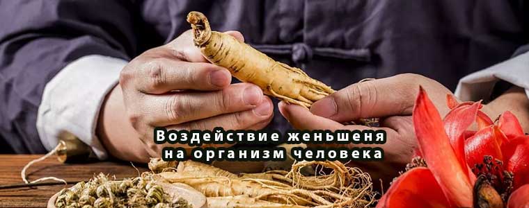 Воздействие женьшеня на организм человека