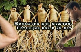 Женьшень для мужчин. Потенция как в 20 лет