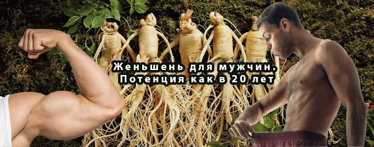 Женьшень для мужчин. Потенция как в 20 лет