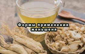 Женьшень принимают в виде.. настоек, мазей, отваров, чая и порошков
