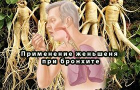 Применение женьшеня при бронхите