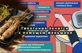 Гипотония лечится с помощью женьшеня