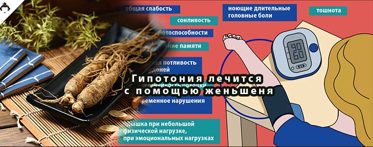 Гипотония лечится с помощью женьшеня